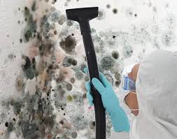 Best Industrial Mold Remediation  in Timonium, MD